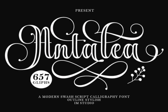 Antalea Outline: A Designer’s Honest Take on This Script