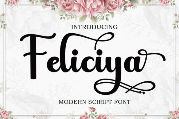 Feliciya: A Modern Script Typeface