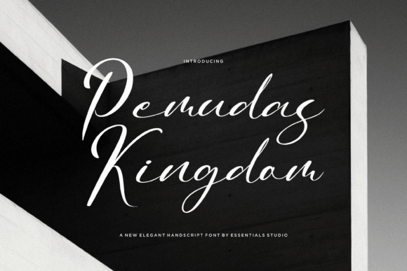 Pemudas Kingdom: A Designer's Honest Take