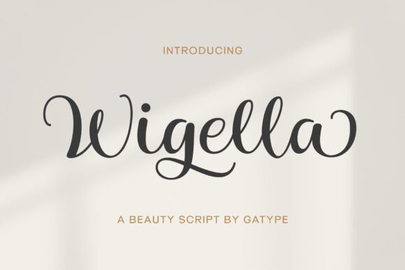 Wigella: A Script Font That Brings Campaigns to Life