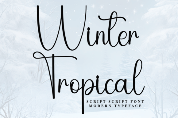 Winter Tropical Font: A Campaign Designer’s Practical Review